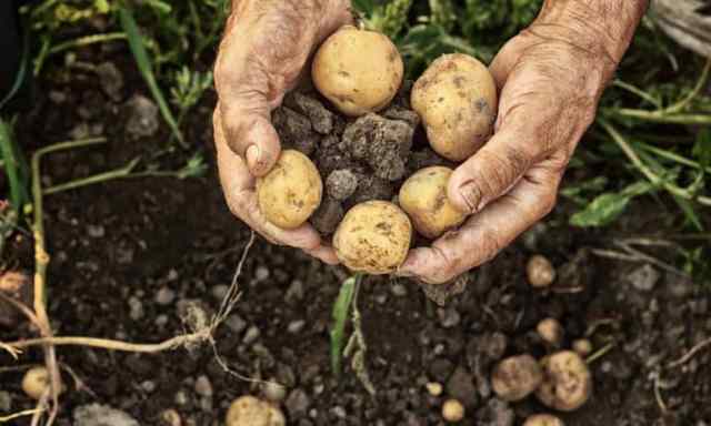 FTTEEBWorldFoodDay-1-770x463